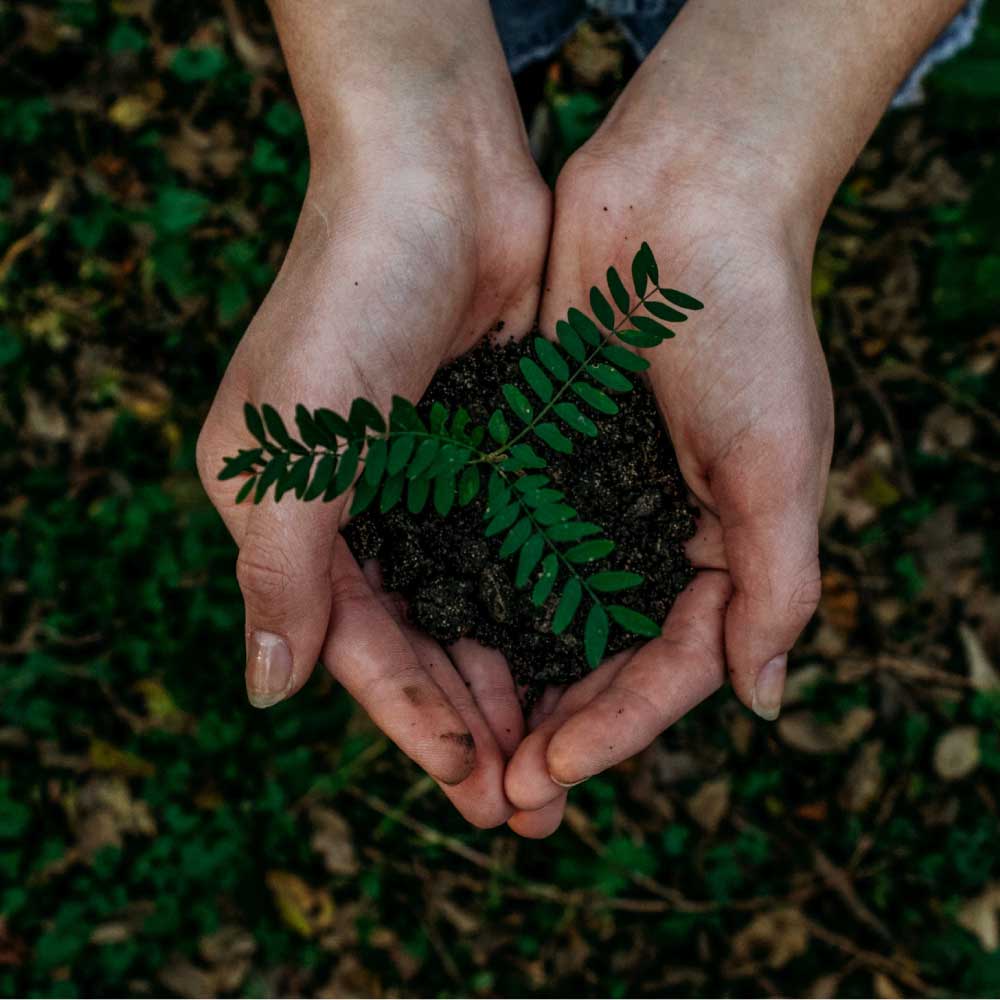 Polímero biodegradáveis